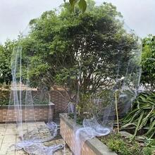 1 PC Garden Anti-Bird Netting, Protective Mesh Cover For Fruit Trees, Orchard, Balcony, Cherry, Grapes, Rice Crop Safety, Pond Barrier, Outdoor Deterrent - Multi-color - View 3