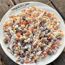 60G/120G Assorted Colorful Shells, Random Mini Seashells, Suitable For Handmade DIY, Hand-Painted Resin Art, Aquarium Fish Tank Decor And Summer Beach Themed Home Decoration - Happy Aquarium - View 5