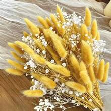 55pcs Red And Orange Artificial Rabbit Tails And Star Flowers - A Bold Autumnal Faux Decor Set. Perfect For Autumn Crafts, Halloween Party Decorations, Thanksgiving Table Centerpieces, Farmhouse Vase Fillers, Everyday Home Decor And Seasonal Holiday Displays. - Multicolor - View 7