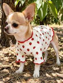 1pc Pet Dog & Cat Sweater, Cute Full Print Fresh Pattern, Soft Breathable Comfortable Anti-Shedding Casual Warm Pet Outfit, Spring/Autumn Style Suitable For Small Dogs, Teddy, Poodle, Chihuahua Daily Wear - Multicolor - View 3