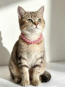 Cat Pearl Necklace Fashion 10mm Deep Pink Pearl Collar Pet Neck Collar Dog Classic Accessory - Hot Pink - View 5