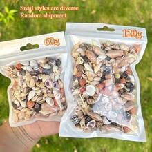 60G/120G Assorted Colorful Shells, Random Mini Seashells, Suitable For Handmade DIY, Hand-Painted Resin Art, Aquarium Fish Tank Decor And Summer Beach Themed Home Decoration - Happy Aquarium - View 1