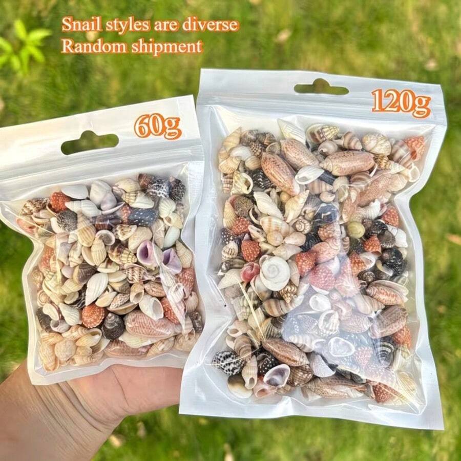 60G/120G Assorted Colorful Shells, Random Mini Seashells, Suitable For Handmade DIY, Hand-Painted Resin Art, Aquarium Fish Tank Decor And Summer Beach Themed Home Decoration - Happy Aquarium - View 1