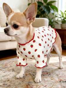 1pc Pet Dog & Cat Sweater, Cute Full Print Fresh Pattern, Soft Breathable Comfortable Anti-Shedding Casual Warm Pet Outfit, Spring/Autumn Style Suitable For Small Dogs, Teddy, Poodle, Chihuahua Daily Wear - Multicolor - View 5