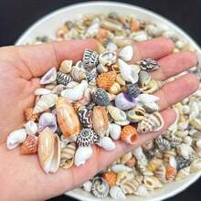 60G/120G Assorted Colorful Shells, Random Mini Seashells, Suitable For Handmade DIY, Hand-Painted Resin Art, Aquarium Fish Tank Decor And Summer Beach Themed Home Decoration - Happy Aquarium - View 4