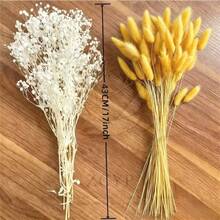 55pcs Red And Orange Artificial Rabbit Tails And Star Flowers - A Bold Autumnal Faux Decor Set. Perfect For Autumn Crafts, Halloween Party Decorations, Thanksgiving Table Centerpieces, Farmhouse Vase Fillers, Everyday Home Decor And Seasonal Holiday Displays. - Multicolor - View 8