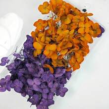1 Caja de Pétalos de Hortensia Artificial Anna Decoración Floral Material ABS Duradero, Adecuado para Bodas, Decoración del Hogar, Manualidades DIY, Fotografía, Regalo para Cumpleaños, Navidad, Día de San Valentín - Sin Energía Requerida, Decoración de Fiestas, Detalles Hechos a Mano - Multicolor - Ver 27