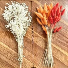 55pcs Red And Orange Artificial Rabbit Tails And Star Flowers - A Bold Autumnal Faux Decor Set. Perfect For Autumn Crafts, Halloween Party Decorations, Thanksgiving Table Centerpieces, Farmhouse Vase Fillers, Everyday Home Decor And Seasonal Holiday Displays. - Multicolor - View 3