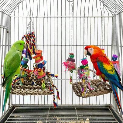 Mainan Panjat & Kunyah untuk Burung Beo, Ayunan Rantai Balok Kayu Berwarna-warni dengan Kait, Pemasangan Mudah, Mainan Gantung Sangkar Burung untuk Mengasah Gigi, Menghilangkan Kebosanan dan Mencegah Menggigit, Cocok untuk Burung Cockatiel, Lovebird, Tiger Parakeet, dan Burung Beo Kecil hingga Sedang untuk Hiburan Sangkar (Warna Acak)