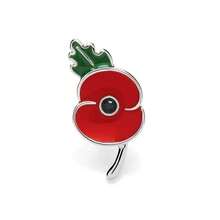 UK Gedenktags-Abzeichen Rote Emaille Mohnblumenkranz Brosche Schul- und Büroaccessoire Hemd Jacke Schmuck Halloween Clip Spaßig Süß Lehrer-Tag Geschenk Halloween Accessoire Lehrer-Tag Kleidung Accessoire Taschenanhänger - Verschiedenfarbig - Übersicht 15