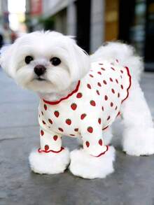 1pc Pet Dog & Cat Sweater, Cute Full Print Fresh Pattern, Soft Breathable Comfortable Anti-Shedding Casual Warm Pet Outfit, Spring/Autumn Style Suitable For Small Dogs, Teddy, Poodle, Chihuahua Daily Wear - Multicolor - View 10