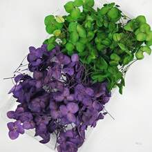 1 Caja de Pétalos de Hortensia Artificial Anna Decoración Floral Material ABS Duradero, Adecuado para Bodas, Decoración del Hogar, Manualidades DIY, Fotografía, Regalo para Cumpleaños, Navidad, Día de San Valentín - Sin Energía Requerida, Decoración de Fiestas, Detalles Hechos a Mano - Multicolor - Ver 24