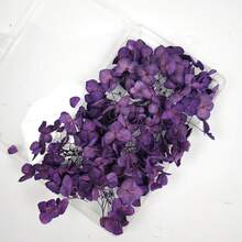 1 Caja de Pétalos de Hortensia Artificial Anna Decoración Floral Material ABS Duradero, Adecuado para Bodas, Decoración del Hogar, Manualidades DIY, Fotografía, Regalo para Cumpleaños, Navidad, Día de San Valentín - Sin Energía Requerida, Decoración de Fiestas, Detalles Hechos a Mano - Multicolor - Ver 26