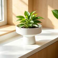 1pc Modern Minimalist Black Planter, Wide Shallow Base With High Leg Design Plant Container, Succulent Plant Pot With Stand, Modern Wide Shallow High Leg Base Plant Container, High Rack Design Promotes Air Circulation - Plant Pot - View 2