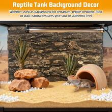 Natural Reptile Cork Bark Bedding Bearded Climbing Wall 6PCS Cork Wood Terrarium Background Decor Crested Gecko Accessories Snake Chameleon Tortoise - 6Pcs-(5.91" * 5.91") - View 6
