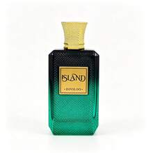 1瓶100ml中東風格無火香氛液，夏季空氣清新劑，杜拜高端香氛，除臭噴霧，適用於衣物、褲子、裙子等日常用品除臭，便攜式空氣清新劑，可用於衣櫃、包包等，適合旅行、汽車、各種節日、酒店、辦公室、健身房、電影院等場所，高品質禮品選擇 - 多香 - 查看 7