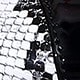 Snake Skin