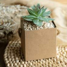 10/25/Pcs Succulent Packaging Bags Gift Boxes,Mini Square Kraft Paper Baskets With Handles, Suitable For Plants, Candies, Weddings, Bridal Showers, Parties And Other Events As Guest Favors.Packaging Bags. 50pcs(25 Bags +25 Ropes) - Multicolor - View 2
