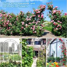 Wedding Rose Archway, Steel Garden Trellis Arch, Plant Support Rack For Roses, Grape Vines & Climbing Plants, Sturdy Metal Frame For Garden, Yard, Lawn & Wedding Decor - A - View 7