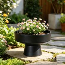 1pc Modern Minimalist Black Planter, Wide Shallow Base With High Leg Design Plant Container, Succulent Plant Pot With Stand, Modern Wide Shallow High Leg Base Plant Container, High Rack Design Promotes Air Circulation - Plant Pot - View 3