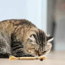 Woven Sticks - Durable Teeth Cleaning Toy For Indoor Cats, Interactive Toy Supplies, No Batteries Required, Helps With Dental Health | Woven Material | Durable Stick, Interactive Toy - Multicolor - View 8
