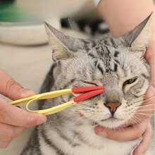 (Cleaning Clip + Fine Tooth Comb) Pet Tear Stain Brush, Cat & Dog Eye Cleaner, Detangling Brush, Soft Bristle Clip Brush - Multiple Specifications - View 2