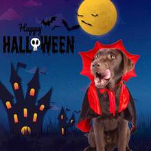 Dog Halloween Costume, Dog Vampire Demon Cape Cloak Set, Suitable For Small, Medium, Large Dogs, Cosplay And Daily Wear (Large Size) - View 9