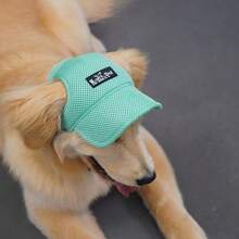1pc Cute Dog Hat, Polyester Material, With Ear Holes - Sun Protection, Adjustable Size, Suitable For Small/Medium/Large Dogs, All Seasons - Blue - View 6