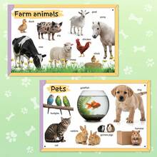 Early Learning Encyclopedia For Kids – My First Animals Book With Pictures And Fun Learning Activities - Early Learning Encyclopedia - View 3