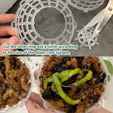 12件裝塑膠苔球吊掛花盆，現代設計，適合蘭花與蕨類，附排水孔，園藝裝飾禮品 - 懸浮球 - 查看 11