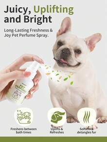 GJYC PET 6款寵物香氛噴霧，適用於狗狗，天然除臭香氛，無酒精長效除味，所有犬種美容必備，洗澡間隔保持清新，3.38 Fl Oz - 60ml - 查看 5
