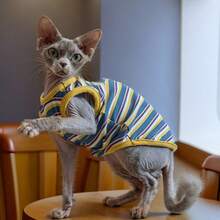 Maillard Color Summer Pet Clothes Hairless Cat Clothes Sphynx Devon Rex Elastic Striped Tank Top - Blue - View 6