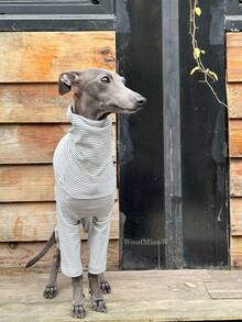 Pet Clothes Fashion Striped Fleece Suitable For Italian Greyhound Whippet Soft Comfortable Dog Autumn/Winter Four-Legged Jumpsuit - Black and White - View 6