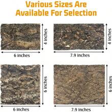 Natural Reptile Cork Bark Bedding Bearded Climbing Wall 6PCS Cork Wood Terrarium Background Decor Crested Gecko Accessories Snake Chameleon Tortoise - 6Pcs-(5.91" * 5.91") - View 2