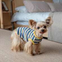 Maillard Color Summer Pet Clothes Hairless Cat Clothes Sphynx Devon Rex Elastic Striped Tank Top - Blue - View 11