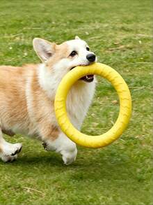 Pet Training Toy, Suitable For Outdoor Sports And Interaction With Dogs. Durable And Hard To Damage, Suitable For Medium To Large Dogs. Lightweight And Easy To Throw. - Multicolor - View 6