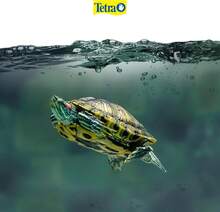 TetraFauna Aqua For Reptiles And Amphibians 3.38 Oz, Aqua-Terrarium Water Conditioner, Makes Tap Water - ColorA - View 3