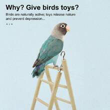 1pc 8-Step Bird Hanging Climbing Ladder, Bird Toy, Bird Climbing Ladder, Bird Supplies, Bird Cage Accessories, Bird Training Supplies, Accessories - Style A - View 2