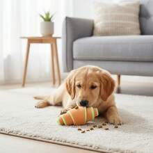 1pc Small Sushi Shaped Plush Dog Toy, Squeaky Chew Toy, Suitable For Extra Small Puppies Only - Multicolor - View 6