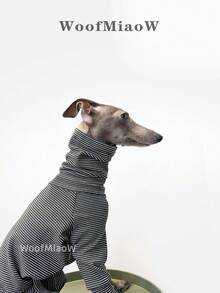 Italian Greyhound Whippet Dog Clothes, Fashionable Soft Fleece Comfortable Elastic Sweatshirt Home Wear Four-Legged Outfit For Medium And Large Dogs, Autumn/Winter - Black - View 4