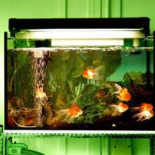 Aquarium Equipment & Maintenance - Filter Media & Consumables - View 4