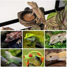 Magnetic Gecko Feeding Ledge, Reptile Food Dish With 3PCS Feeding Cups Crested Gecko Feeder Ledge Bowl Chameleon Bearded Accessories - Style D - View 7