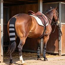 馬尾保護套 可調節馬尾包覆護套 防蚊彈性馬尾套 適用騎乘、馬廄、比賽與美容護理 - 查看 7