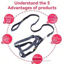 Dog Harness And Leash Set, Adjustable Polyester Drawstring Vest Harness, Durable Leash, Suitable For Small, Medium And Large Dogs, Daily Dog Walking Pet Supplies - Multicolor - View 4