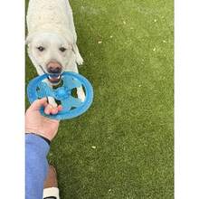 Floating Dog  With Ball - As Pic - View 7