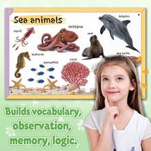 Early Learning Encyclopedia For Kids – My First Animals Book With Pictures And Fun Learning Activities - Early Learning Encyclopedia - View 6