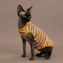 Maillard Color Summer Pet Clothes Hairless Cat Clothes Sphynx Devon Rex Elastic Striped Tank Top - Blue - View 1