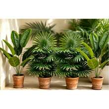 2pcs Large Artificial Palm Plants, 35 Inch Large Artificial Banana Tree, Monstera And Fan Palm Tropical Plants Decoration, Includes 24 Leaves, Evergreen, Suitable For All Seasons Artificial Potted Plants, Artificial Plants Without Pot - Multicolor - View 10