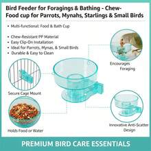 Bát ăn lồng chim khóa nhanh (có chậu tắm tháo rời) – thiết kế thanh đậu trong suốt, dễ vệ sinh và bền bỉ, phù hợp cho chim cỡ nhỏ và trung bình, thỏ, chó, mèo và chuột lang, môi trường nuôi đa thú đáp ứng nhu cầu tắm - Màu xanh bạc hà - Xem 8