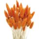Orange 120 PCS
